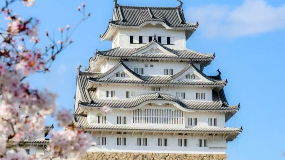 Tour di un giorno con noleggio con conducente esclusivo a Osaka + Castello di Himeji + Kitano Ijinkan + Monte Rokko / itinerario personalizzabile