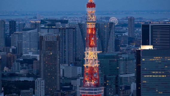 日本東京+淺草寺+秋葉原+銀座一日遊/行程可調-可定制