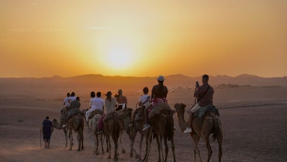 Deserto di Agafay: Avventura in Cammello, Cena e Spettacolo