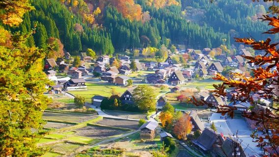 Takayama and Shirakawa-go Day Tour from Nagoya