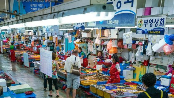 (Return Assurance) Busan Small Group Cruise Shore Excursion