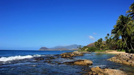 West Oahu: Dolphin Watch & Snorkel Sail