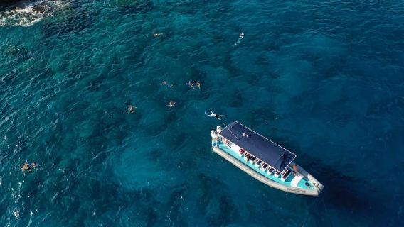 Kailua-Kona: Big Island Morning Snorkeling Tour with Lunch
