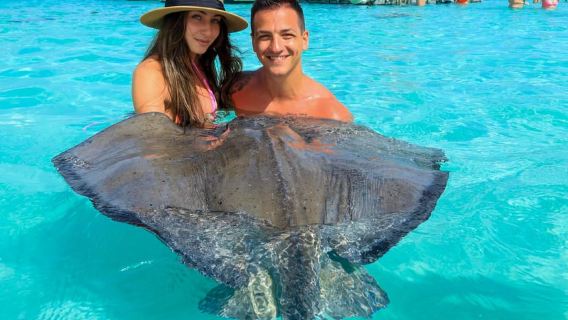 Antigua: Stingray City Experience with Round-Trip Transfer