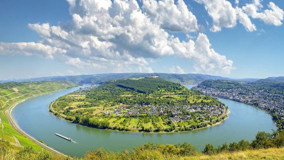 From Frankfurt: Rhine Valley Day Trip