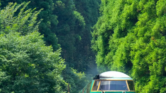 Kyushu Fukuoka private charter: Beppu hell + Yufuin + Dazaifu + Yufuin no mori train 1-day tour
