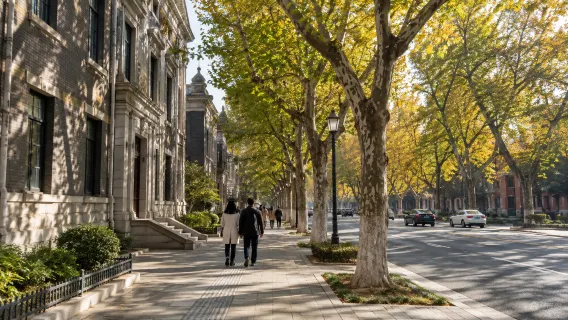 Wei Man İmparatorluk Sarayı Müzesi + Konfüçyüs Tapınağı Müzesi + Tarih ve Kültür Müzesi + Xinmin Caddesi Günübirlik Turu
