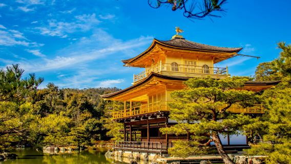Kyoto Tempio Kinkaku-ji: il tempio d'oro, la leggenda dello shogun e l'estetica zen | visita guidata di 2 ore