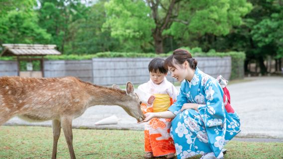 Japan Nara Fuji kimono rental, Nara Park, Kasuga Taisha, Wakakusa Mountain, Tōdai-ji deer experience