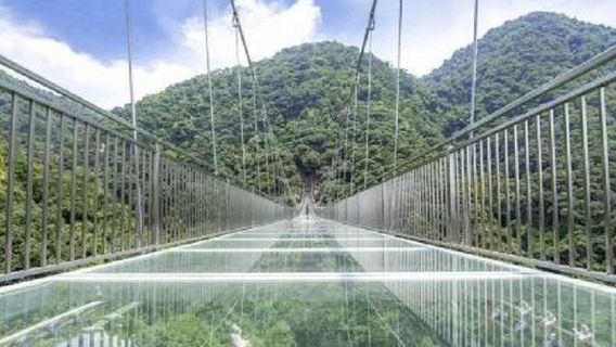 QingyuanTours