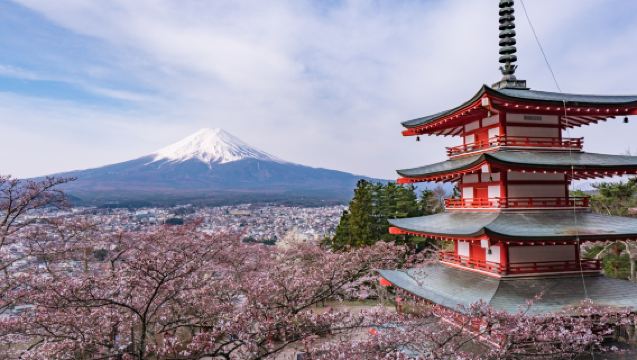 아라쿠라야마 센겐 공원 + 가와구치 호 + 오이시 공원 + 사이코 이야시노사토 넨바 [식사 포함]