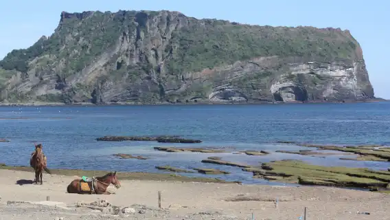 ทัวร์วันกรุ๊ปเล็กเกาะเชจู - ตะวันออก