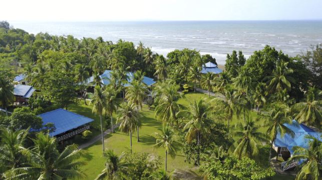 沙巴海龜苑樹林一日遊|沙巴大學|水上清真寺