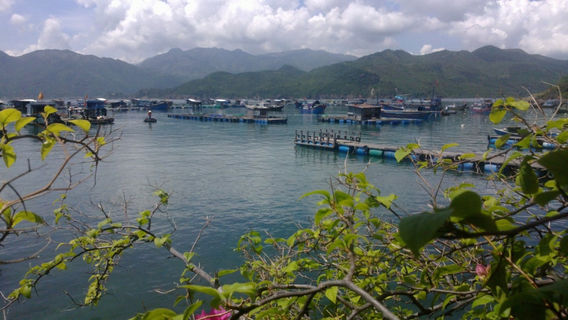 Nha TrangTours
