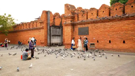 清邁古城嘟嘟車探險半日私人包團