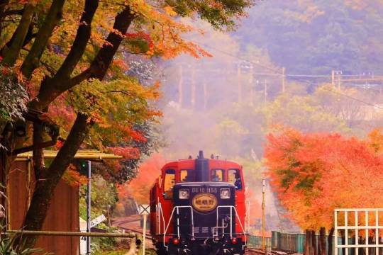 Japan Kyoto Arashiyama + Sanzen-in + Arashiyama Sagano Sightseeing Train One-Day Tour