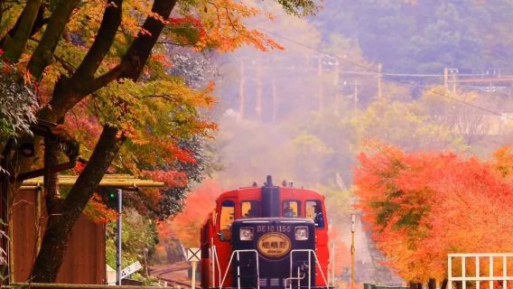 tour 1 ngày Arashiyama của Kyoto và những kỳ quan rêu ẩn giấu của Đền Sanzen-in, với lá phong mùa thu, những ngôi đền cổ và rừng tre