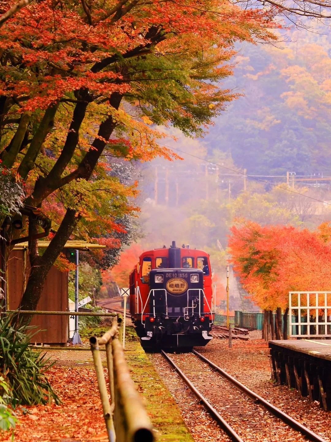tour di un giorno Arashiyama, a Kyoto, e alle meraviglie nascoste del muschio del tempio Sanzen-in, con foglie d'acero autunnali, antichi templi e foreste di bambù.