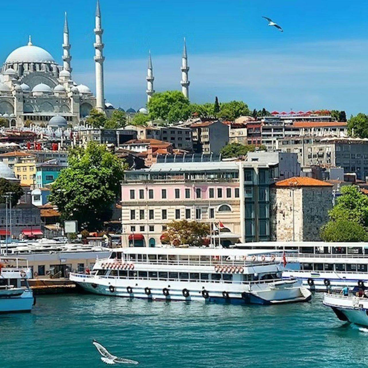 Istanbul: Bosphorus Sightseeing Cruise