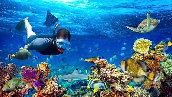 RoatanTours