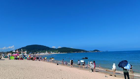 青島日遊