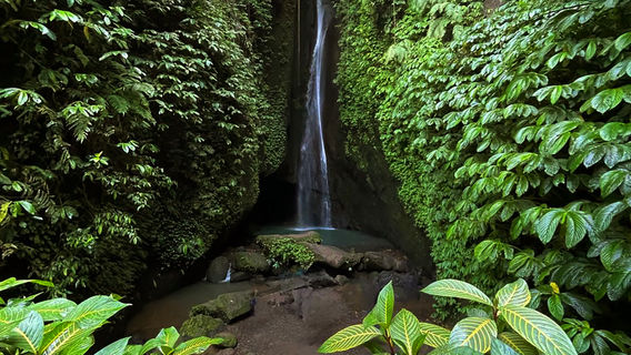 Bali
