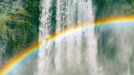 Costa sur de Islandia: excursión de un día en grupos pequeños desde Reikiavik