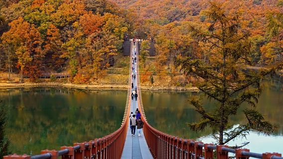 SeoulTours