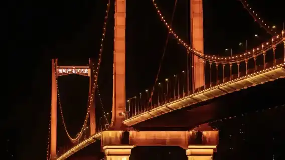 Yellow Crane Tower - Yangtze River Bridge - East Lake Scenic Area - Han Street 1-day Tour (English service available / multiple vehicle types optional)