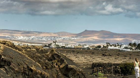 Lanzarote: El Grifo Weintouren für Weinliebhaber