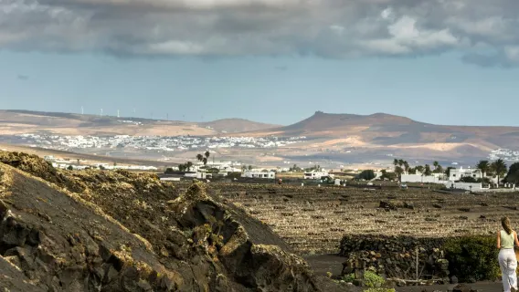 Lanzarote: El Grifo Wine Lovers Tours