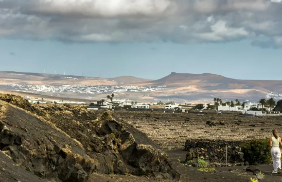 蘭薩羅特：El Grifo 葡萄酒愛好者之旅