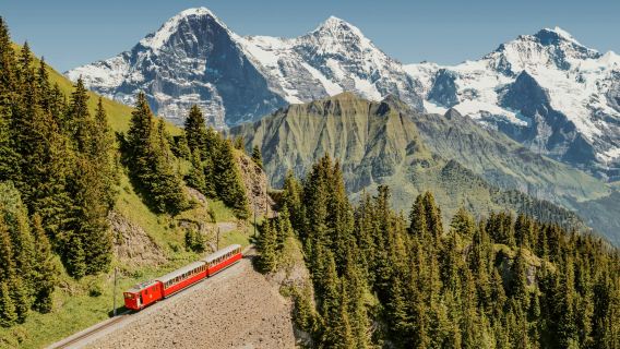 Jungfrau: Unlimited Travel Pass for 3 to 8 Days