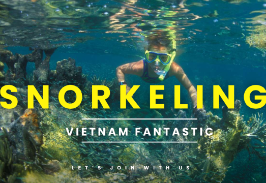 Nha Trang Snorkeling Tour at Coral Reef