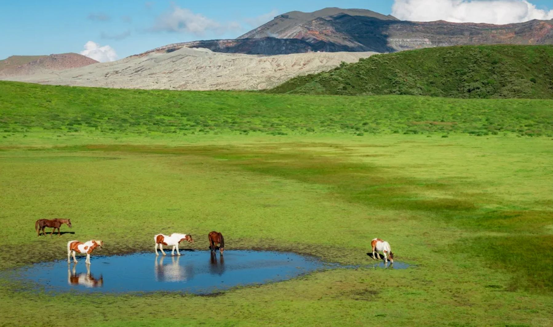 1-day tour in Kyushu, Miyazaki: Takachiho Gorge + Aso Crater + Kusasenri | Departing from Fukuoka