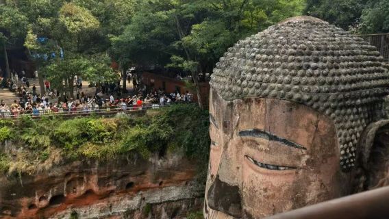 청두 자이언트 판다기지+낙산대불(러산 대불) 당일 치기 여행[프라이빗 투어+입장권 해설 포함]