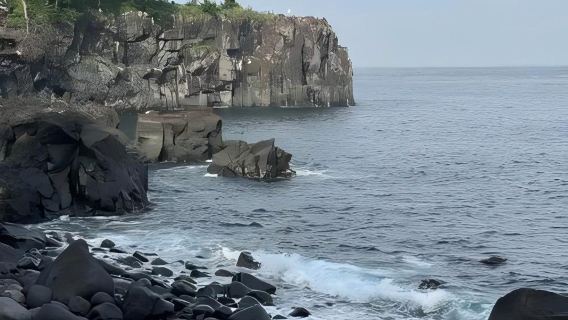 日本東京+伊豆+熱海海濱公園一日遊/行程可調-可定制多日