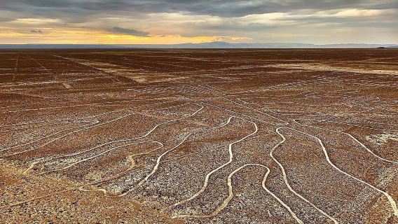 Перу: тур по линиям Наска и оазису Уакачина из Лимы (частный тур, от 2 человек)
