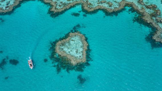 Vol panoramique de 60 minutes aux îles Whitsunday + Excursion d'une journée en Bateau rapide à Whitehaven Beach