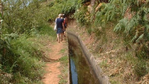 Prazeres: Full-Day Nature Walk