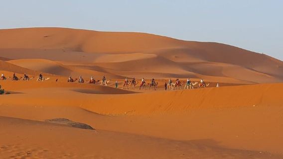Viaggio di sola andata da Merzouga a Fes (solo trasporto)