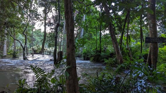 Luang Prabang: Full Day Trek to Kuang Si Waterfall & Village