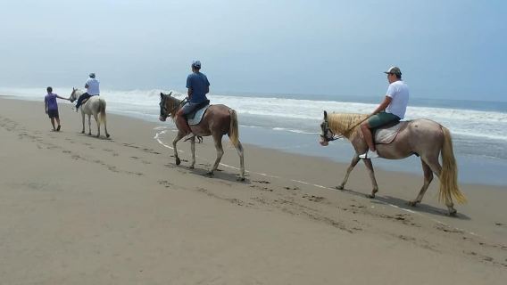 Santuario di Pachacamac da Lima|Tour di mezza giornata