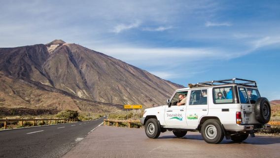 From Playa de las Américas: Full-Day Teide Jeep Safari