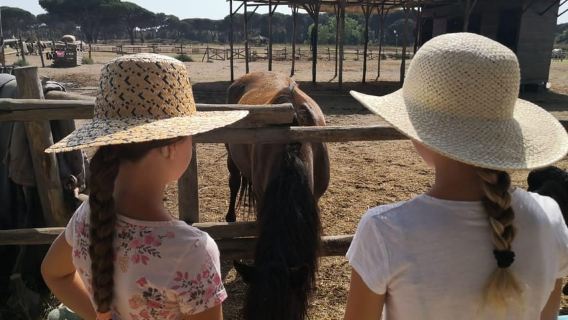 Abruzzo: Esplora la natura intorno a Roma con i cavalli