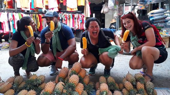 HCM City: Ben Tre Mekong Delta & My Tho Day Trip with Lunch