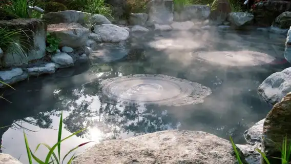 From Fukuoka: Nyoirinji Temple, Beppu Hells and Yufuin