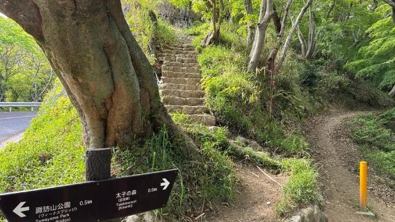 Kobe: Aventura de caminata nocturna con cena local