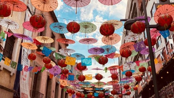 Hubungi layanan pelanggan untuk memesan / Museum Antropologi Nasional Kota Meksiko, Istana Seni Rupa, Kastil Chapultepec / Bandara / Layanan mobil antar-jemput / Pemandu wisata / Layanan mobil pribadi