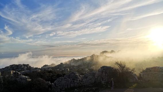 Málaga: gita guidata di un giorno ai Dolmen e al Torcal de Antequera